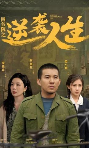 短剧四合院之逆袭人生海报