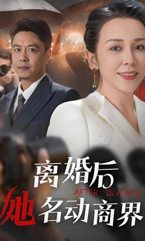 短剧《离婚后她名动商界》海报