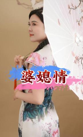 短剧婆媳情海报