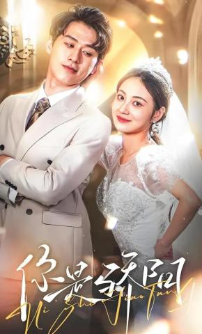 短剧你是骄阳海报