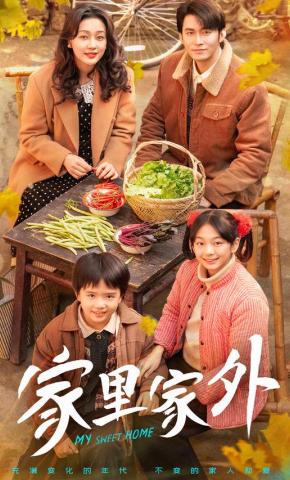 短剧家里家外海报