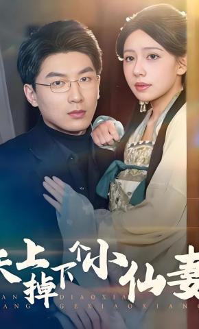 短剧《天上掉下个小仙妻》海报