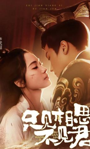 短剧《只见相思不见君》海报