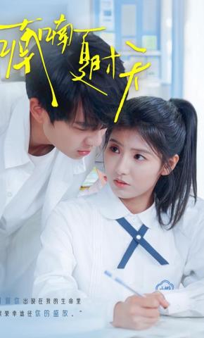 短剧《喃喃夏时天》海报