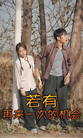 短剧若有再来一次的机会海报