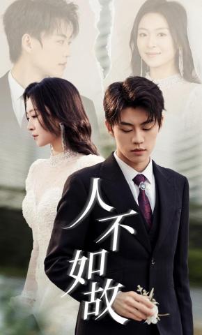 短剧人不如故海报