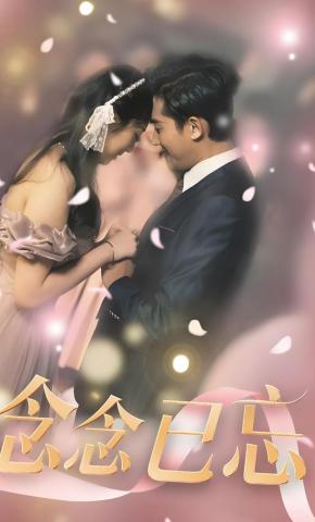 短剧《念念已忘》海报