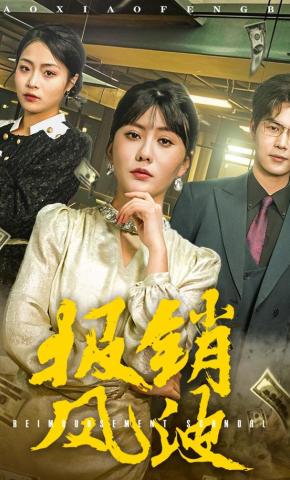 短剧《报销风波》海报