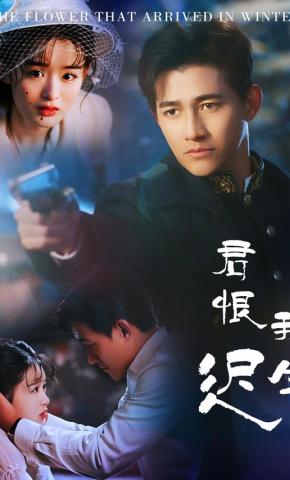 短剧君恨我生迟海报