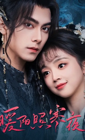 短剧《暖阳照寒夜》海报