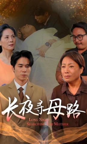 短剧长夜寻母路海报