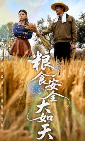 短剧《粮食安全大如天》海报