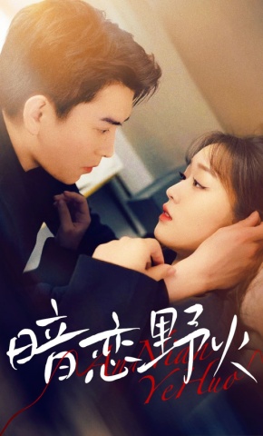 短剧《暗恋野火》海报