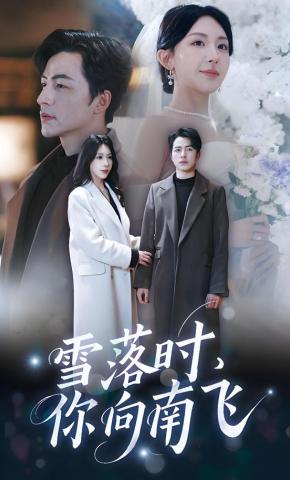 短剧雪落时，你向南飞海报