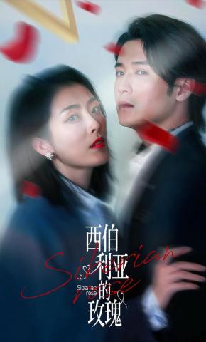 短剧西伯利亚的玫瑰海报