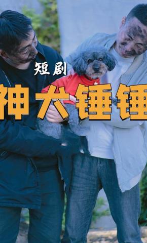 短剧《神犬锤锤》海报