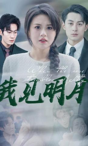 短剧我见明月海报