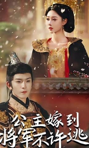 短剧《公主嫁到，将军不许逃！》海报