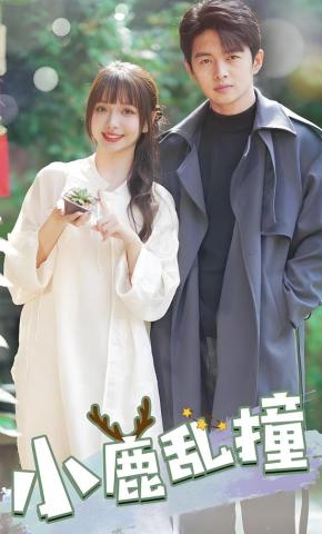短剧《小鹿乱撞》海报