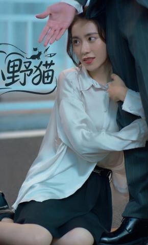 短剧《小野猫》海报