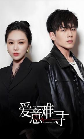 短剧《爱意难寻》海报