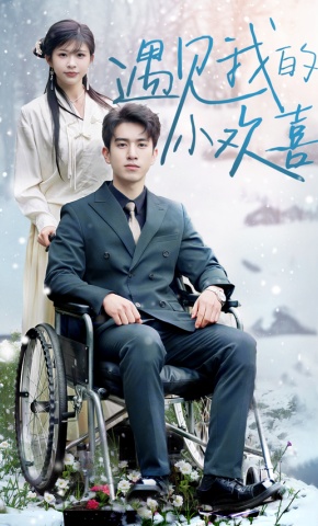 短剧《遇见我的小欢喜》海报