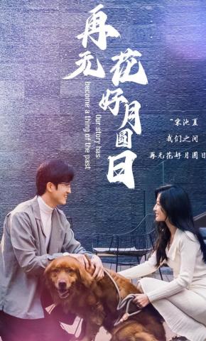 短剧《再无花好月圆日》海报