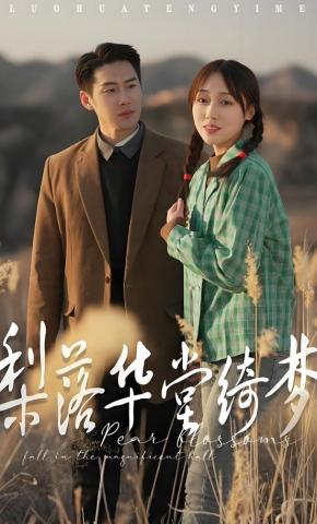 短剧《梨落华堂绮梦》海报