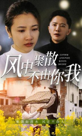 短剧《风中聚散不由你我》海报