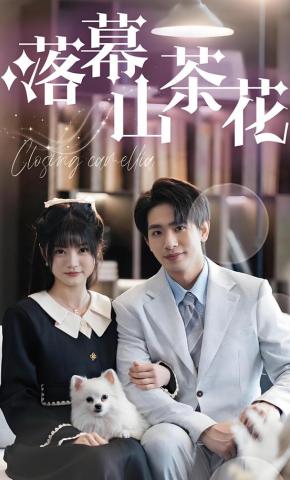 短剧《落幕山茶花》海报