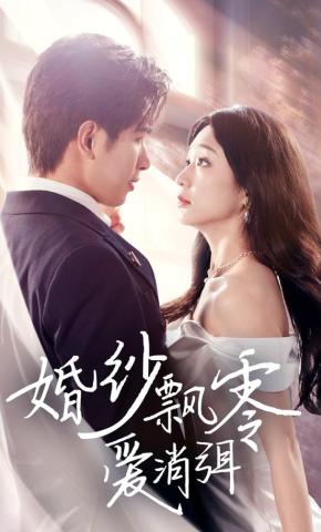 短剧《婚纱飘零爱消弭》海报