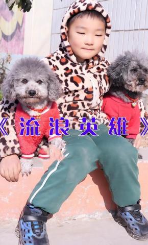 短剧流浪英雄海报