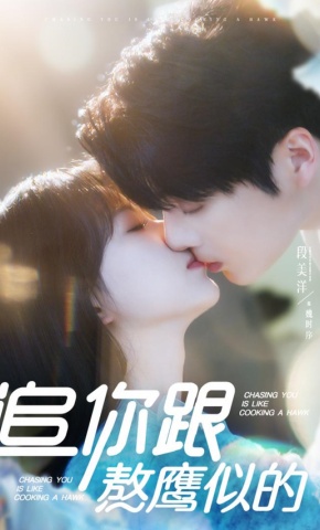 短剧《追你跟熬鹰似的》海报