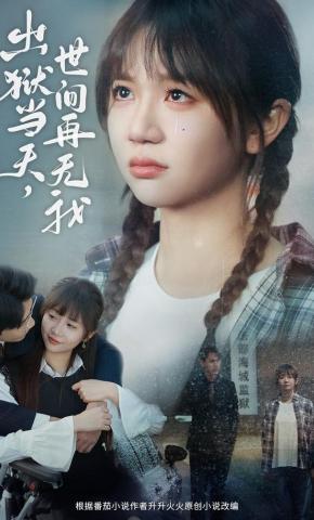 短剧出狱当天，世间再无我海报