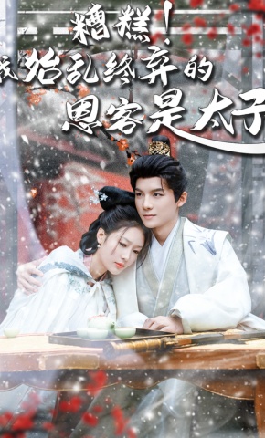 短剧糟糕！我始乱终弃的恩客是太子海报