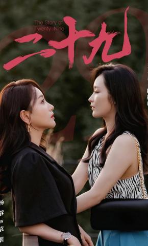 短剧二十九海报