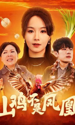 短剧山鸡不是凤凰海报