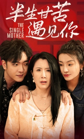 短剧半生甘苦遇见你海报