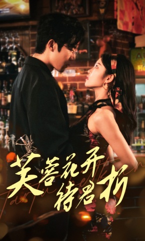 短剧《芙蓉花开待君折》海报