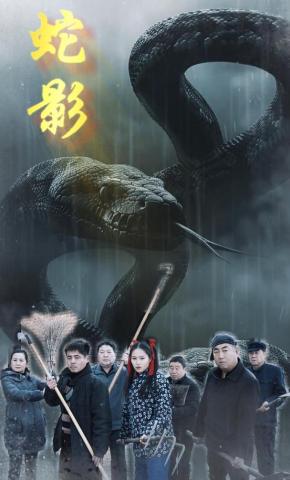 短剧蛇影海报