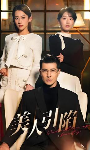 短剧美人引陷海报