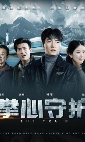 短剧拳心守护海报