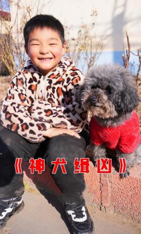 短剧神犬缉凶海报