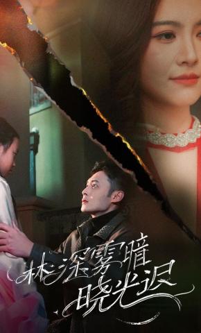 短剧《林深雾暗晓光迟》海报