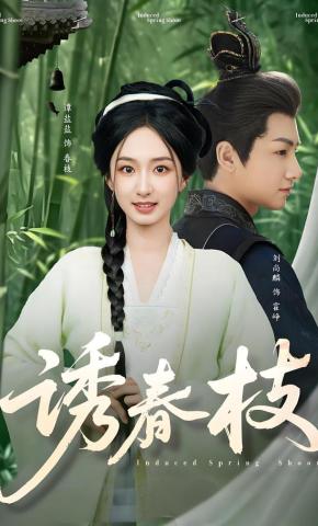 短剧诱春枝海报