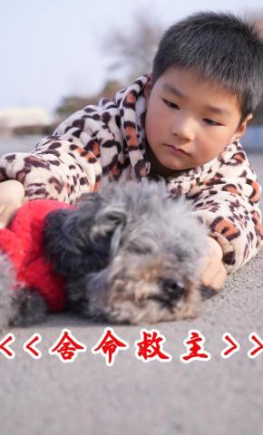 短剧舍命救主海报