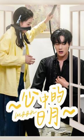 短剧《心中的日月》海报