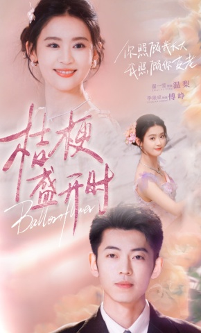 短剧《桔梗盛开时》海报