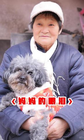 短剧《妈妈的眼泪》海报