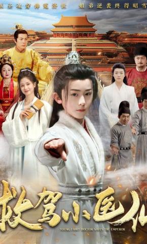 短剧《救驾小医仙》海报